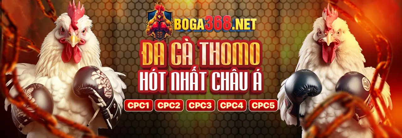 Đá Gà Trực Tuyến zh88 Khuyến Mãi
